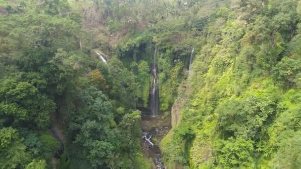 Belle cascade tropicale bali indonesia Séquence Vidéo Libre De Droits