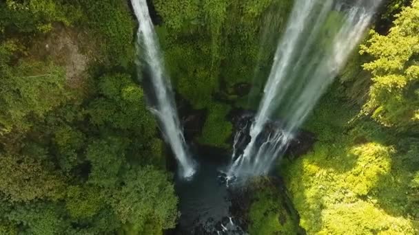 Gyönyörű trópusi vízesés bali indonézia — Stock videók