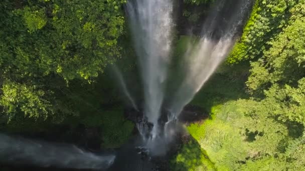 Gyönyörű trópusi vízesés bali indonézia — Stock videók