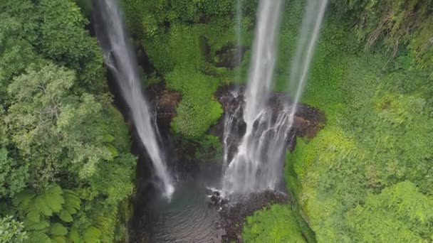 Bela cachoeira tropical bali indonésia — Vídeo de Stock