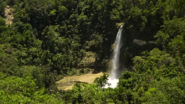 Vackra tropiska vattenfall filippiner bohol — Stockvideo