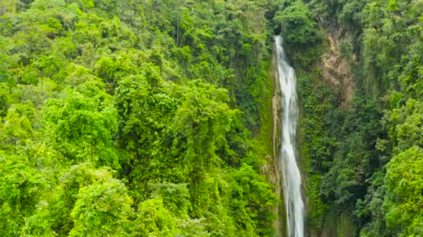 Красивый тропический водопад Филиппины cebu — стоковое видео