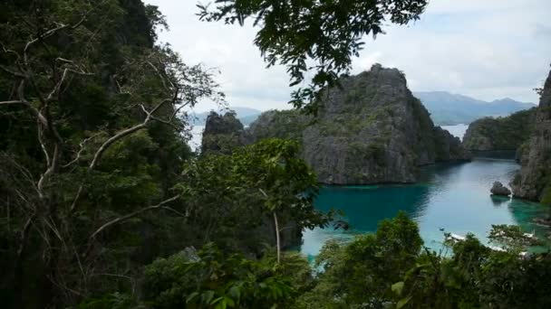 Beautyful lagoon in the islands philippines — 비디오