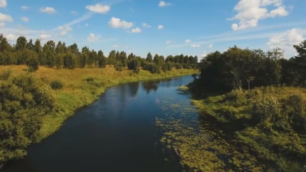 Létání nad řekou — Stock video