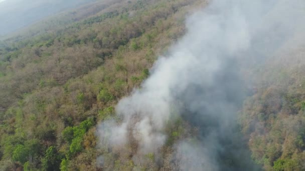 Incendio forestal en las montañas — Vídeo de stock