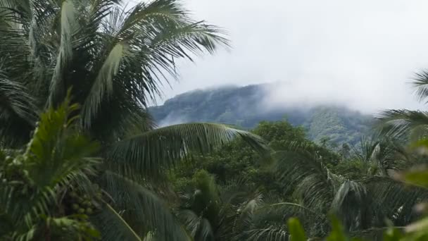 Landschaft der Berge und Himmel Camiguin Insel — Stockvideo