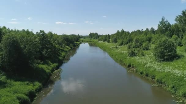 Пейзаж с рекой и деревьями — стоковое видео