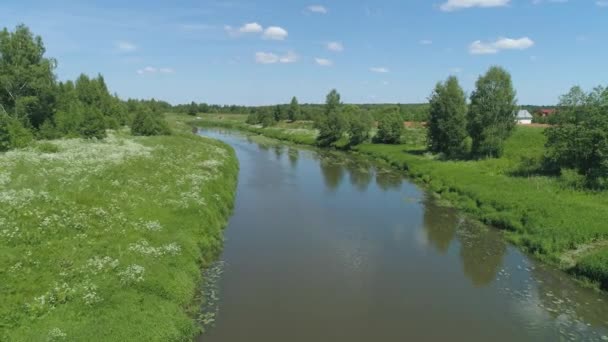Landschap met rivier en bomen — Stockvideo