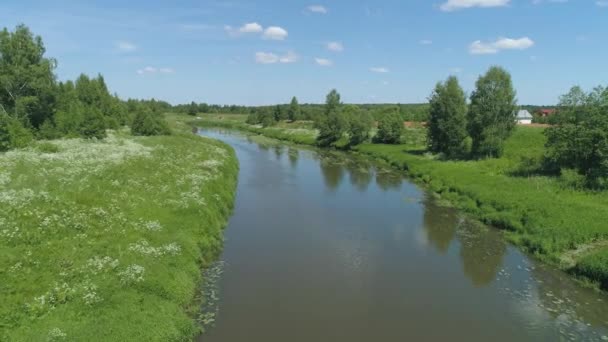 Paisaje con río y árboles — Vídeo de stock