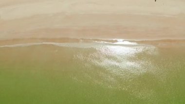 Dalgalar ve Sarı Plajlı Okyanus