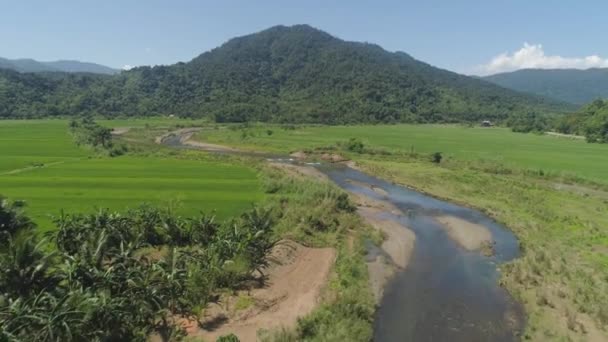 Vallée de montagne avec des terres agricoles aux Philippines — Video