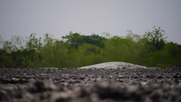 Ηφαίστειο λάσπης σκάψει kuwu Ινδονησία — Αρχείο Βίντεο