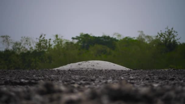 boue volcan bledug kuwu indonesia 
