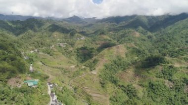 Filipinler batadındaki pirinç terasları