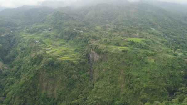 Terraços de arroz nas montanhas — Vídeo de Stock
