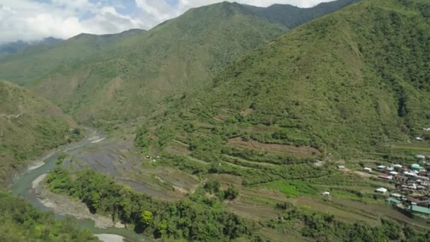 Terrazas de arroz en las montañas — Vídeo de stock