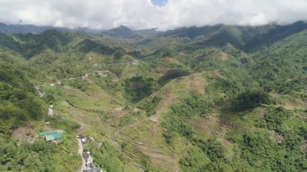 Ris terrasser i bergen Filippinerna batad — Stockvideo