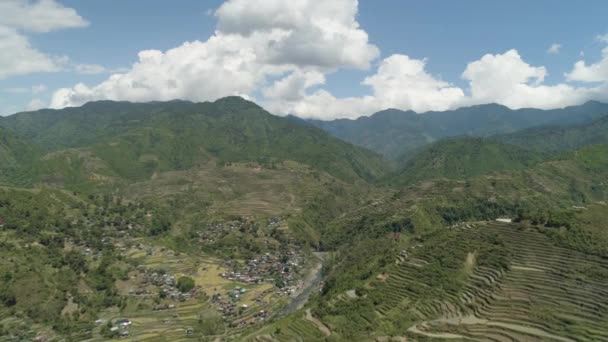 Rice terraces in the mountains — Stock Video