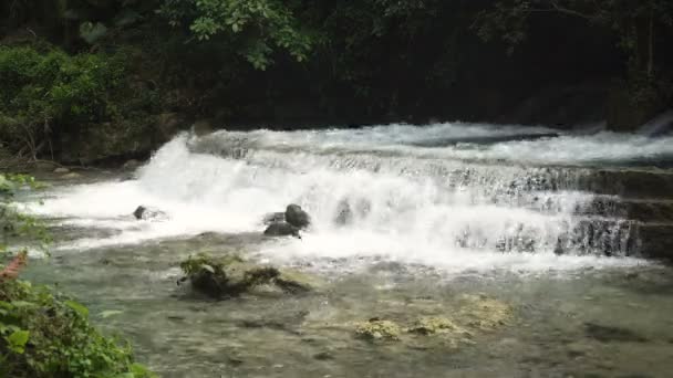 Река в джунглях — стоковое видео