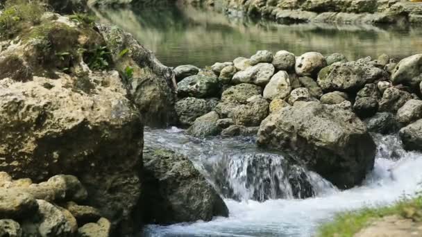 Córrego de rio na floresta tropical — Vídeo de Stock