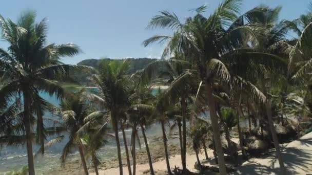 Морской пейзаж с пляжем и морской филиппинкой luzon — стоковое видео