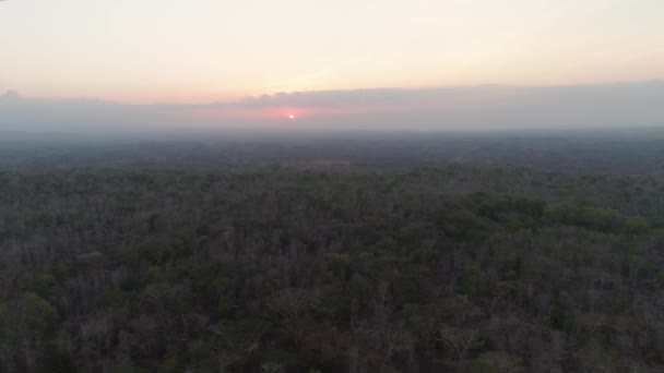 Zonsondergang boven savanne — Stockvideo