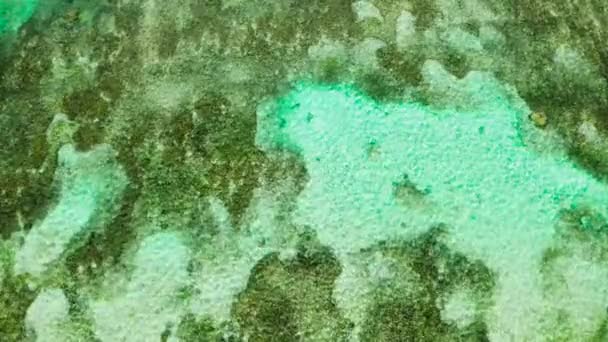 Eau de mer bleue transparente dans la lagune — Video