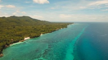 Tropik plaj ve turkuaz deniz Filipinleri