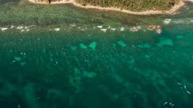 Tropikal ada ve mavi deniz Filipinleri Palawan