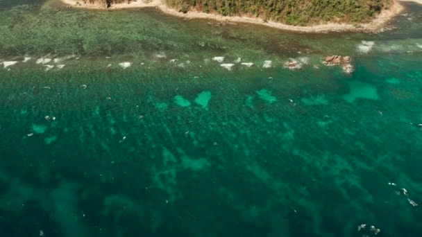 Tropikal ada ve mavi deniz Filipinleri Palawan — Stok video