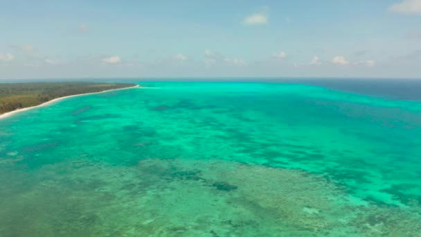 Tropikalna wyspa z piaszczystą plażą balabac palawan — Wideo stockowe