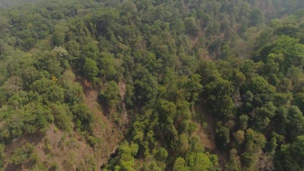 Tropisch landschap regenwoud en bergen — Stockvideo