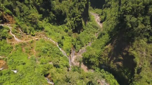 Tropikalny krajobraz lasy deszczowe i wodospad — Wideo stockowe
