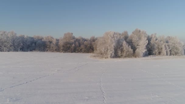 Paisagem de inverno no campo — Vídeo de Stock