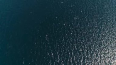 deniz yolcusu feribot limanı gilimanuk bali Endonezya