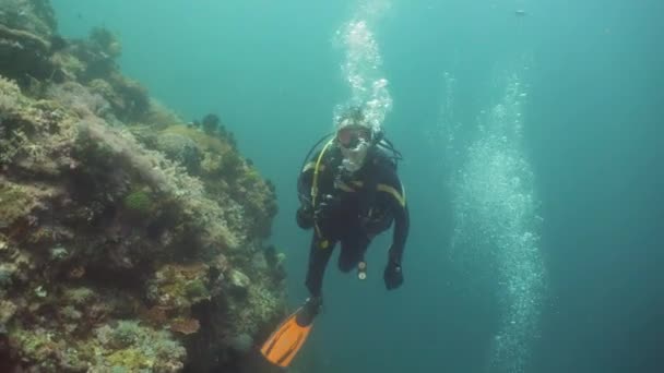 Buceador bajo el agua — Vídeos de Stock