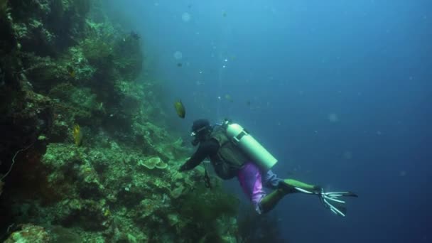 Аквалангист под водой — стоковое видео