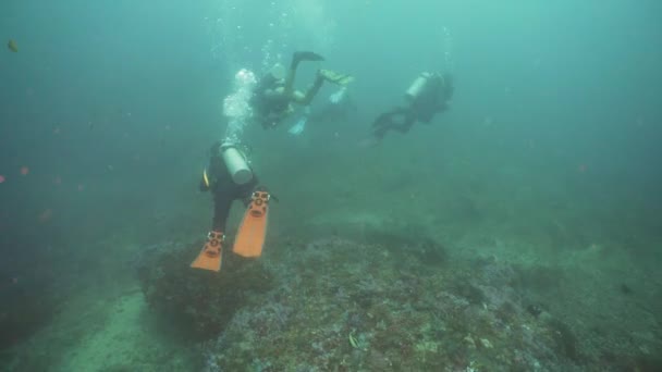 Δύτες υποβρύχιων Φιλιππίνων Mindoro — Αρχείο Βίντεο