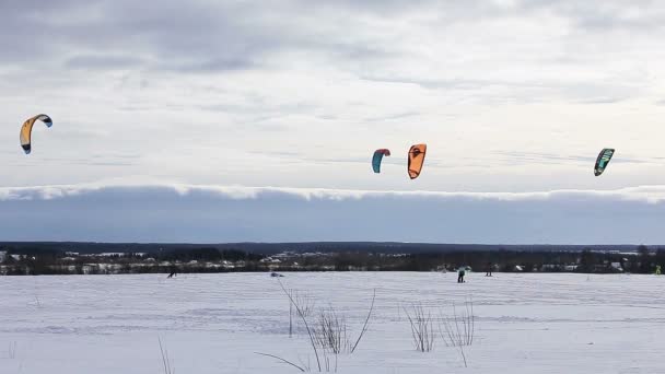 Vinter snowkiting på fältet — Stockvideo