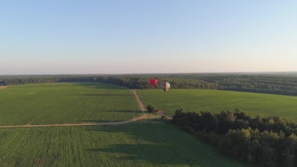空の熱気球 ストック映像