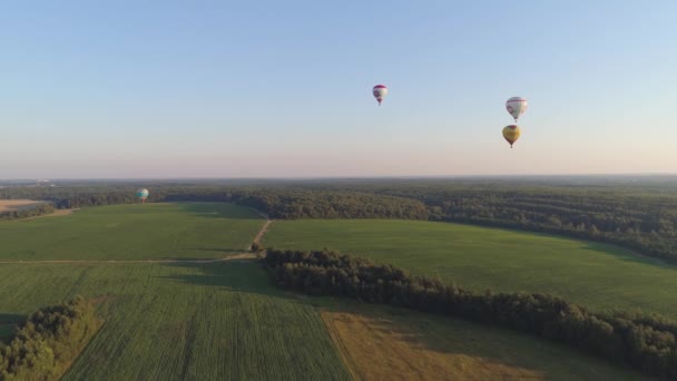 Varmluftsballonger på himlen — Stockvideo