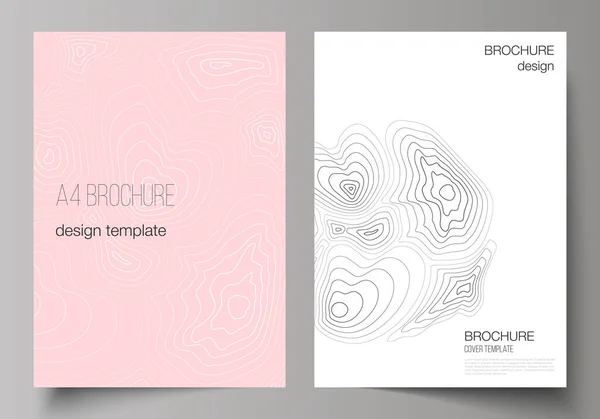 De indeling van de vector van A4 formaat moderne cover testmodellen ontwerpsjablonen voor brochure, magazine, flyer, brochure, jaarverslag. Topografische kaart van de contour, abstracte monochrome achtergrond. — Stockvector