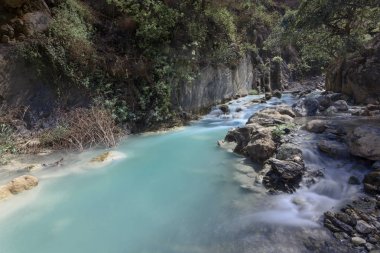 Tolantongo termal nehir