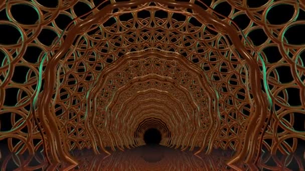 金门隧道 — 图库视频影像