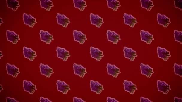 グレープフルーツのパターンの背景 — ストック動画