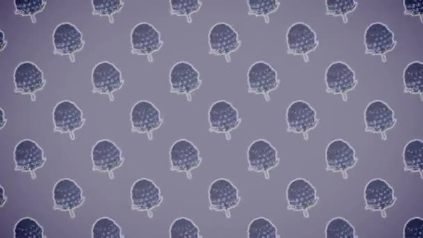 Blackberry Fruit Pattern Hintergrund — Stockvideo