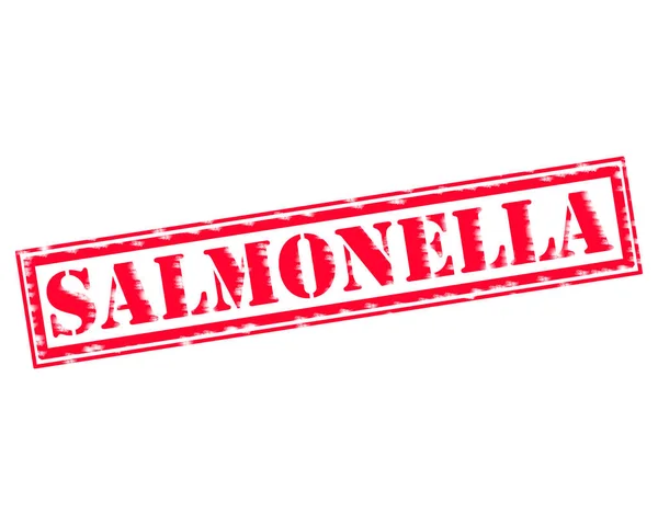Szalmonella piros bélyegzőszöveg a fehér háttér — Stock Fotó