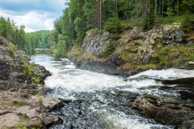 Vahşi doğada buzlu şelale.