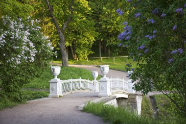 Eski köprü Nehri Pavlovsk Park Saint-Petersburg içinde.