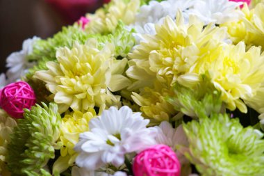 Renkli Aster çiçek bir buket kökenli.